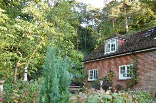 The Haven Ascot
