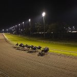 Chelmsford Racecourse