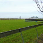Exeter Racecourse