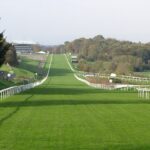 Hamilton Racecourse