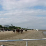 Laytown Races